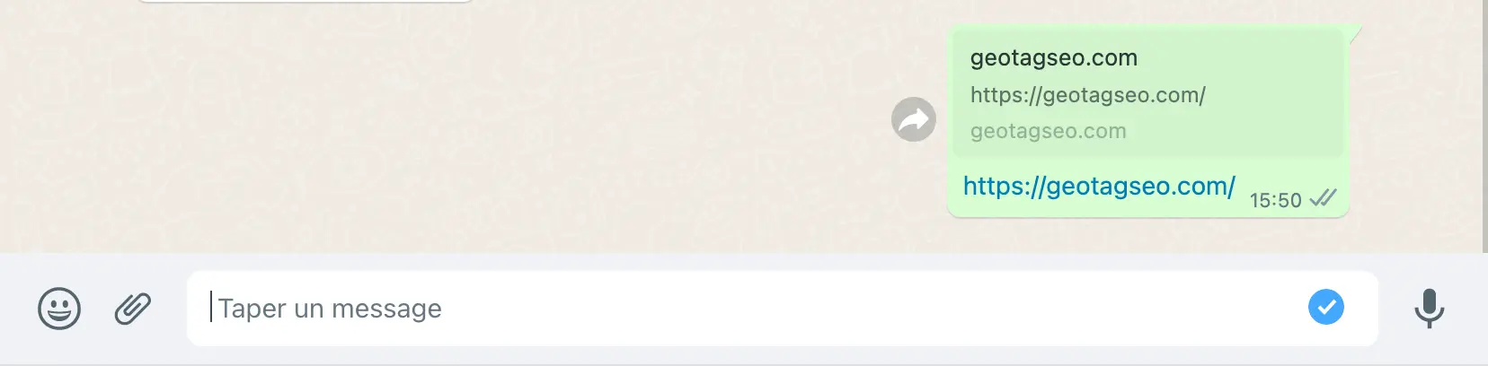 How WhatsApp displays GeoTagSeo.com